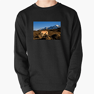 Explore The Americas The Americas Sweatshirts