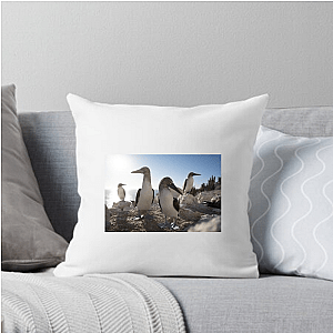 The Americas Are Calling The Americas Pillows Cover