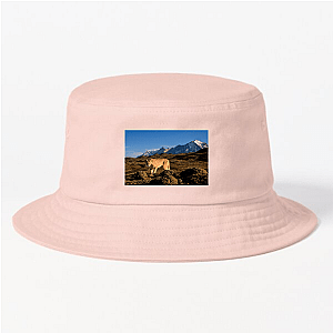 Explore The Americas The Americas Hats & Caps