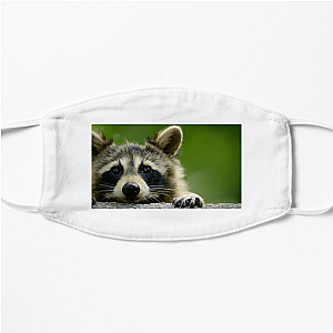 Walk The Americas Path The Americas Face Masks