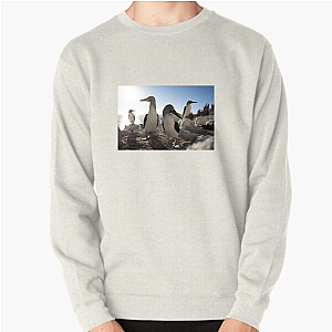 The Americas Are Calling The Americas Sweatshirts