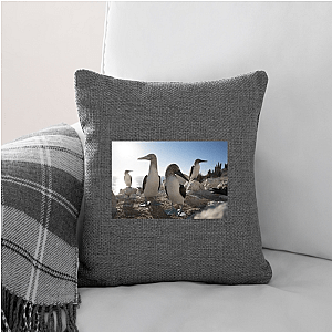 The Americas Are Calling The Americas Pillows Cover