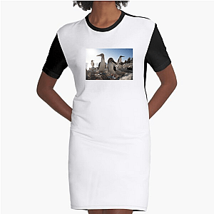 The Americas Are Calling The Americas Dresses