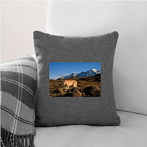 Explore The Americas The Americas Pillows Cover
