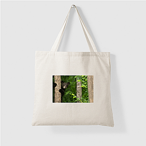 The Americas Unfold The Americas Bags