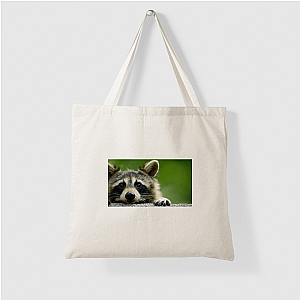 Walk The Americas Path The Americas Bags