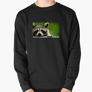 Walk The Americas Path The Americas Sweatshirts