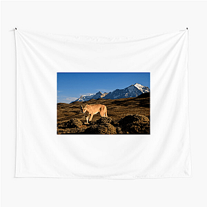 Explore The Americas The Americas Tapestries