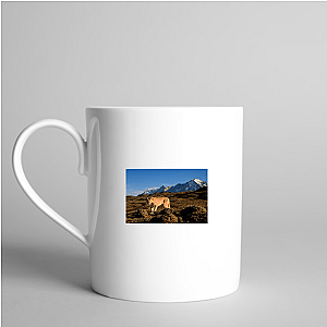 Explore The Americas The Americas Mugs