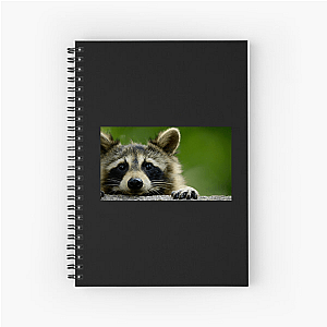 Walk The Americas Path The Americas Notebook