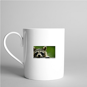 Walk The Americas Path The Americas Mugs