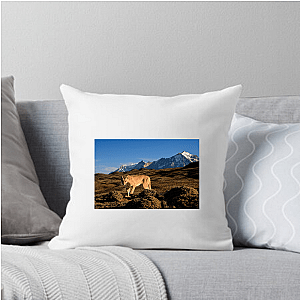 Explore The Americas The Americas Pillows Cover
