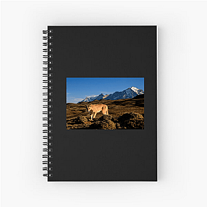 Explore The Americas The Americas Notebook