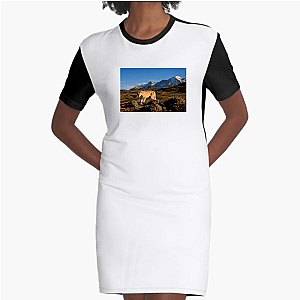 Explore The Americas The Americas Dresses