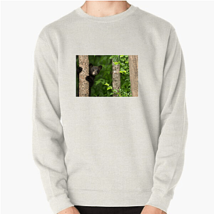 The Americas Unfold The Americas Sweatshirts