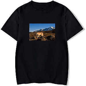 Explore The Americas The Americas T-Shirts