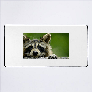 Walk The Americas Path The Americas Mouse Pads