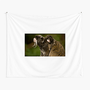 Nature Runs Deep The Americas Tapestries