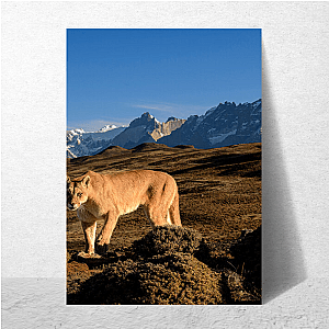 Explore The Americas The Americas Posters
