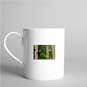 The Americas Unfold The Americas Mugs