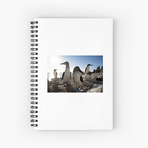 The Americas Are Calling The Americas Notebook