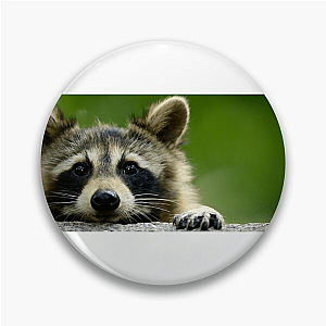 Walk The Americas Path The Americas Pins