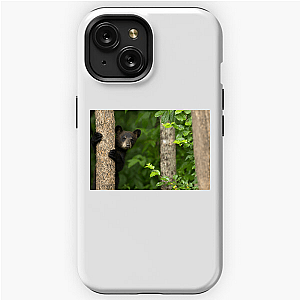 The Americas Unfold The Americas iPhone Cases