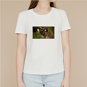 Nature Runs Deep The Americas T-Shirts