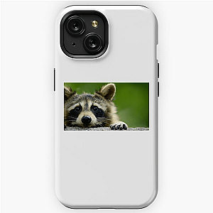 Walk The Americas Path The Americas iPhone Cases