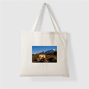 Explore The Americas The Americas Bags
