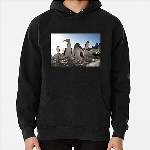 The Americas Are Calling The Americas Hoodies