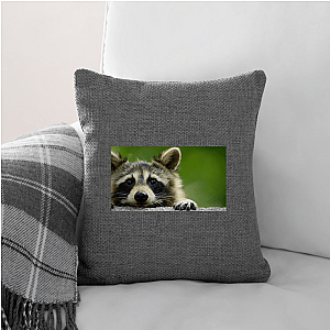 Walk The Americas Path The Americas Pillows Cover