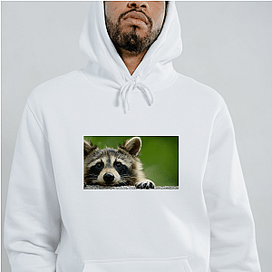 Walk The Americas Path The Americas Hoodies