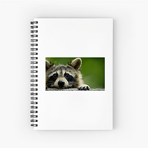 Walk The Americas Path The Americas Notebook