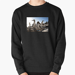 The Americas Are Calling The Americas Sweatshirts