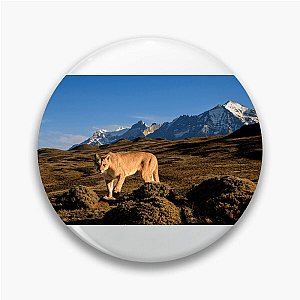 Explore The Americas The Americas Pins