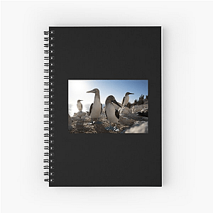 The Americas Are Calling The Americas Notebook
