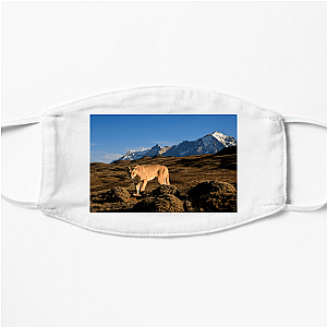 Explore The Americas The Americas Face Masks