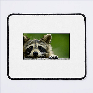 Walk The Americas Path The Americas Mouse Pads