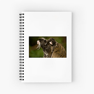 Nature Runs Deep The Americas Notebook