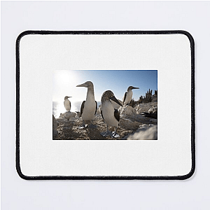 The Americas Are Calling The Americas Mouse Pads
