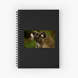 Nature Runs Deep The Americas Notebook