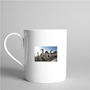 The Americas Are Calling The Americas Mugs