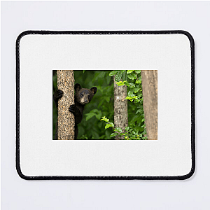 The Americas Unfold The Americas Mouse Pads