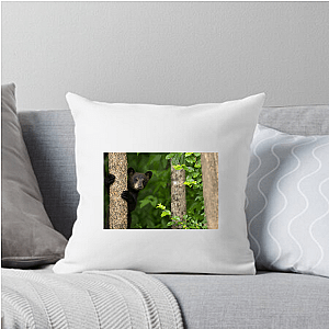 The Americas Unfold The Americas Pillows Cover