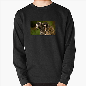 Nature Runs Deep The Americas Sweatshirts