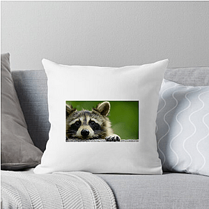 Walk The Americas Path The Americas Pillows Cover