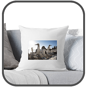 The Americas Pillows Cover