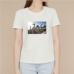 The Americas Are Calling The Americas T-Shirts