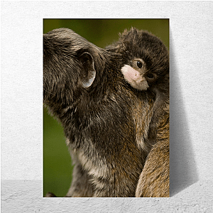Nature Runs Deep The Americas Posters
